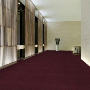 Alfombras en Rollo (5)